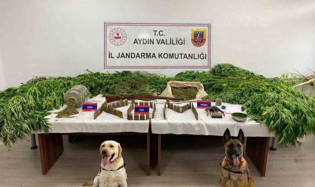 Aydın'da son 6 ayda 50 ton uyuşturucu madde ele geçirildi