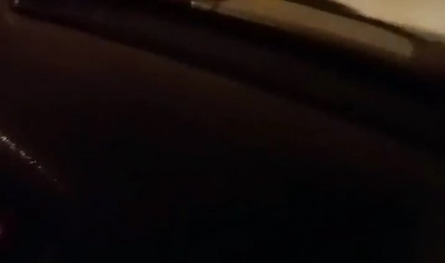 Ayı otomobilin önüne atladı, içindekilerin yüreği ağzına geldi