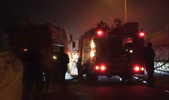 Ayvalık'ta ağaçlık alanda çıkan yangın kontrol altına alındı