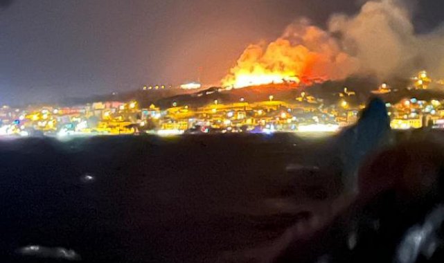 Ayvalık'taki yangında 6 hektar zarar gördü