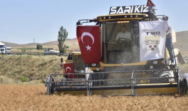 Bakan Yumaklı: Bu yıl orman yangınlarında 6 bin 900 hektar alan zarar gördü