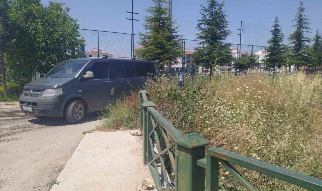 Bakımsızlıktan uzayan yabani otlar endişe kaynağı