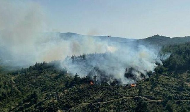 Balıkesir'de orman yangını