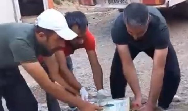 Başı teneke kutuya sıkışan yavru ayı kurtarıldı