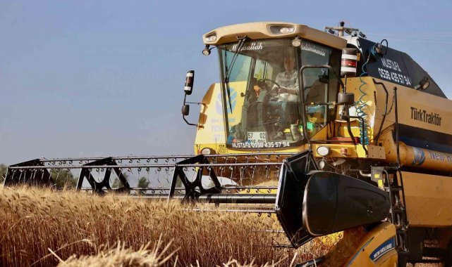 Başkan Zolan, biçerdöverle buğday hasadı başladı