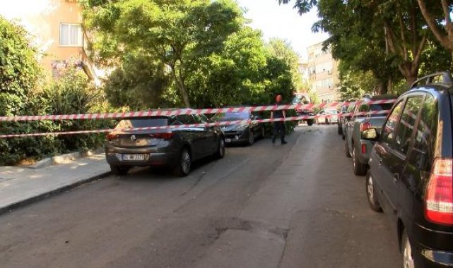 Beşiktaş'ta ağacın bir kısmı otomobilin üstüne devrildi