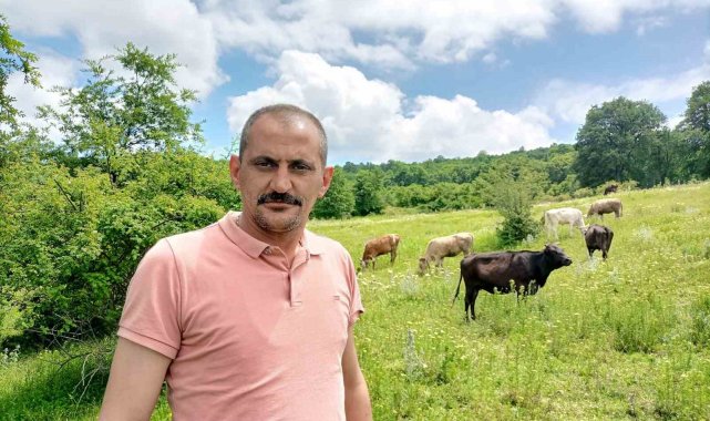 Bilecik'te 12 gün önce kaybolan düvelerden ikincisi de bulundu