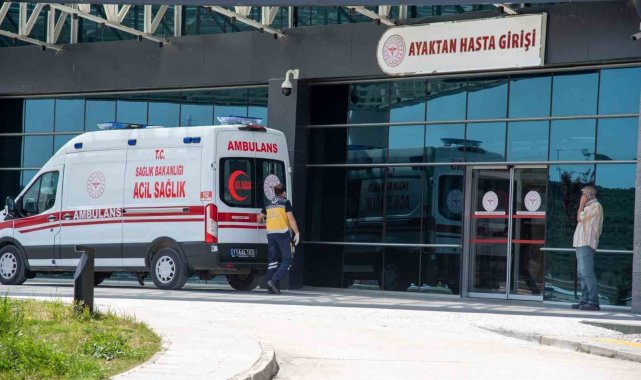 Bilecik'te bayram boyunca 96 acemi kasap yaralandı