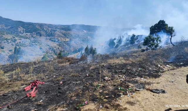 Bilecik'te çıkan orman yangını büyümeden söndürüldü
