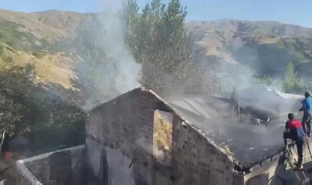 Bingöl'de ahırda çıkan yangında 2 inek öldü