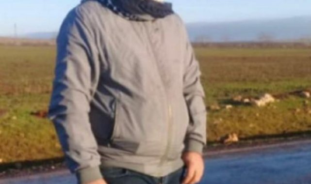 Bingöl'de arının soktuğu çoban öldü