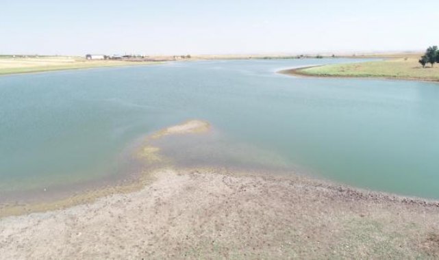 Binlerce kuşun yaşam alanı gölette su 10 metre çekildi; uzmandan uyarı geldi