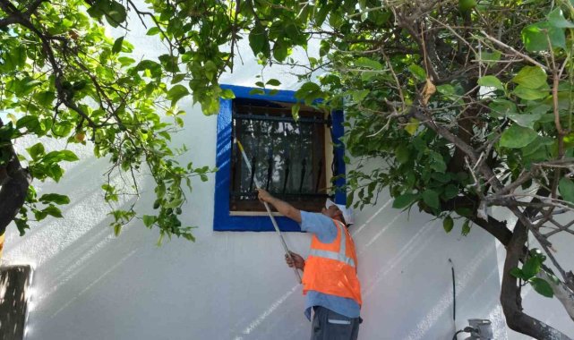 Bodrum sokakları mavi ve beyaza bürünüyor