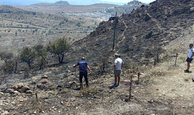 Bodrum'da otluk yangını; 5 hektar alan yandı