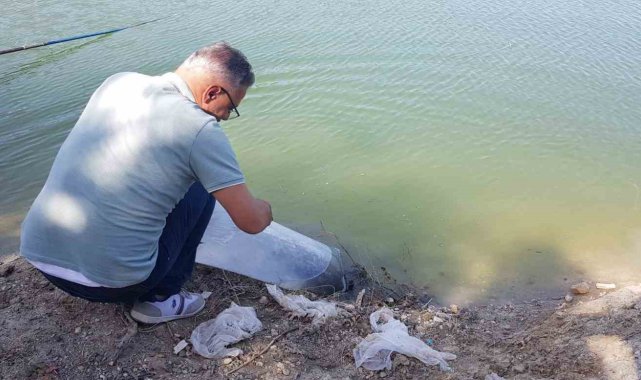 Buldan'da 50 bin balık suya bırakıldı