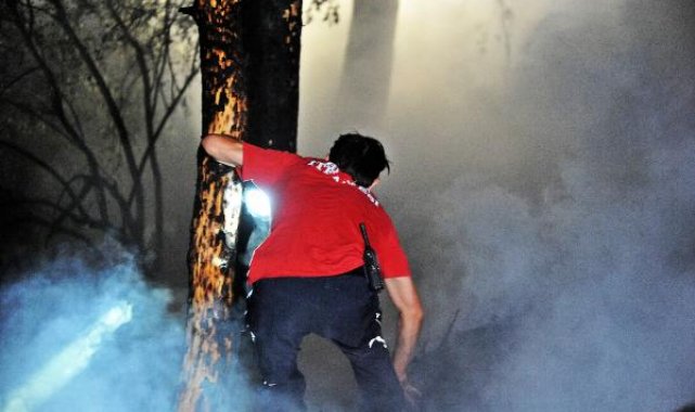 Bursa'da orman yangını 3 saate kontrol altına alındı; 1 gözaltı