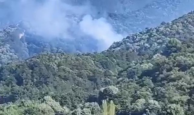 Bursa'da orman yangını; helikopterle müdahale ediliyor