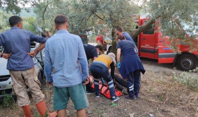 Bursa'da otomobil zeytinliğe girdi: 1 ölü, 1 ağır yaralı
