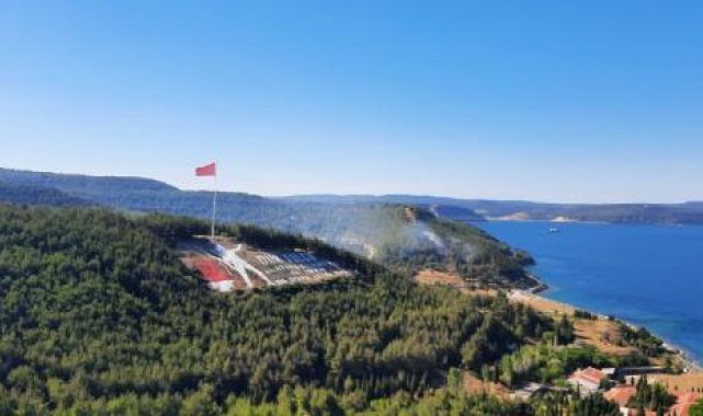 Çanakkale'de orman yangını 2 saatte kontrol altına alındı