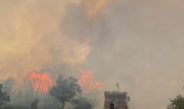 Çanakkale'de orman yangını