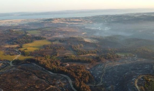 Çanakkale'deki orman yangınında 2 bin 500 hektar alan zarar gördü