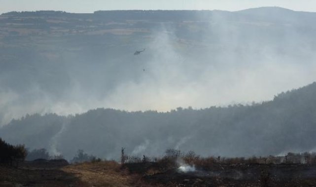 Çanakkale'deki orman yangınında 3'üncü gün