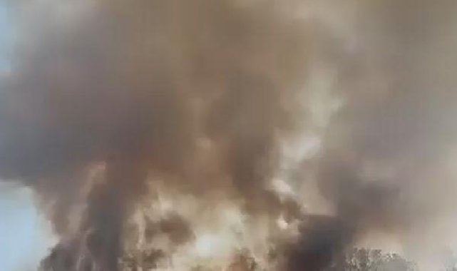 Çatalca'da tarlada yangın çıktı -1