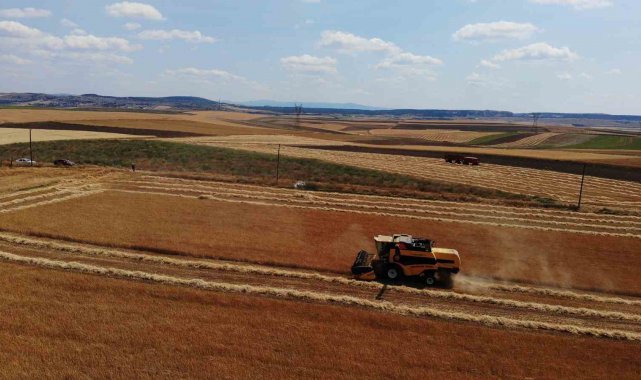 Çiftçi umduğundan daha fazla ürün aldı