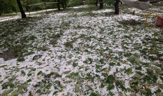 Çiftçinin yaşadığı mağduriyet ilgili makamlara iletildi