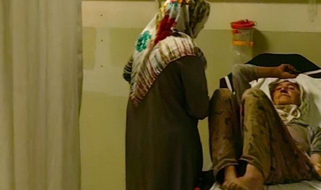 Çilek toplarken elini yılan ısırdı