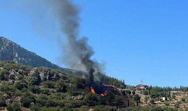 Datça'da orman yangını