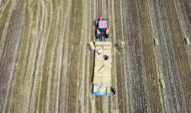 Edirne'de balya işçilerinin 38 derecelik sıcakta zorlu mesai