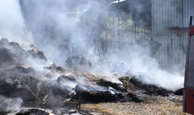 Edirne'de çıkan ahır yangınında 4 bin saman balyası, 1 traktör ve sera yandı