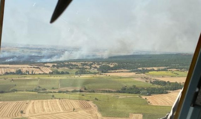 Edirne'de tarladan ormana sıçrayan yangın, kontrol altına alındı