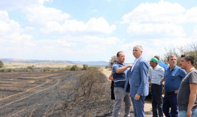 Edirne'deki yangında 2 bin 330 dekar alanda zarar oluştu