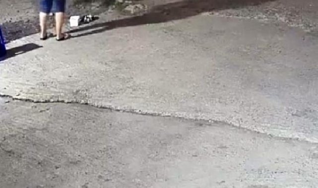 Eğlence merkezi önündeki Pitbull'u öldüren ile sahibi tutuklandı
