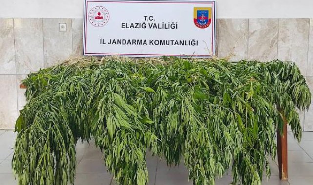 Elazığ'da uyuşturucu operasyonu: 3 gözaltı