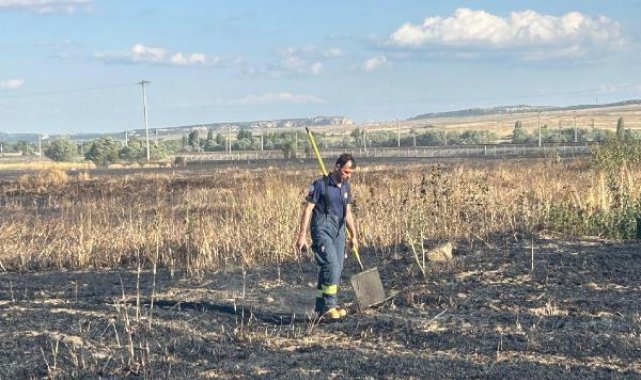 Elektrik akımına kapılan kuş yangına yol açtı; 60 dönüm alan zarar gördü