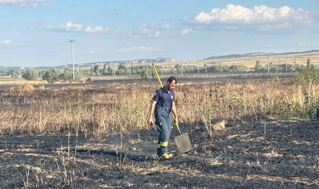 Elektrik akımına kapılan kuşun sebep olduğu yangında 60 dönüm hububat arazisi zarar gördü