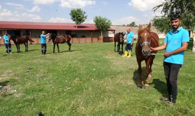 Erzurum faytonla olaylı vedalaştı