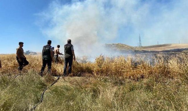 Eskişehir'de 30 dönüm arpa tarlası yandı