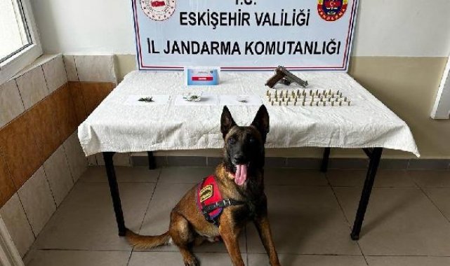 Eskişehir'de mezarlığa kenevir eken 2 şüpheliye gözaltı