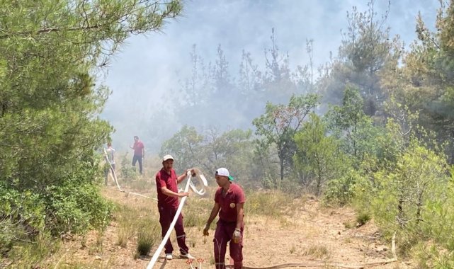 Eskişehir'de orman yangını