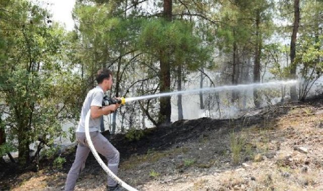 Eskişehir'de orman yangını