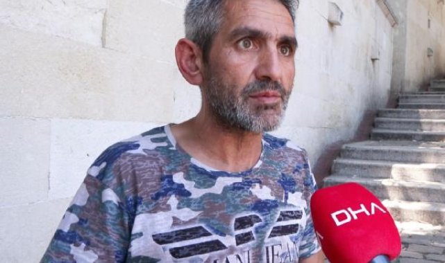 Eyüpsultan'da kedilerin üzerine asit döküldüğü iddiası