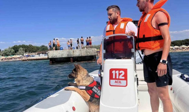 Ezine'de boğulma vakalarına karşı K9 köpeği Leydi ve dalgıçlar iş başında