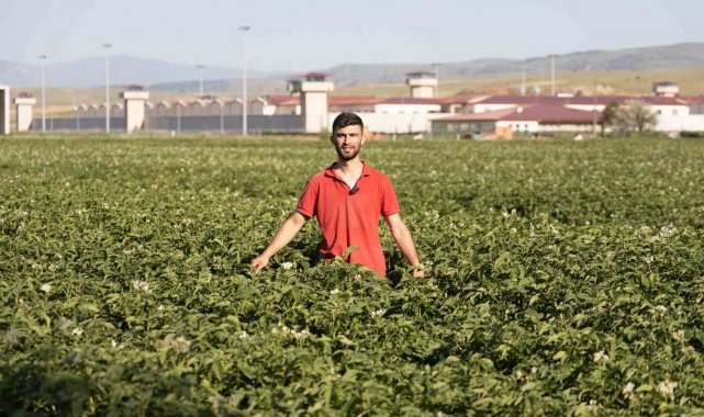 Fenomen çiftçinin Afyon şivesiyle yaptığı espriler dilden dile dolaşıyor