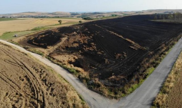 Geniş haber Çatalca'da 200 dönümlük buğday tarlası küle döndü