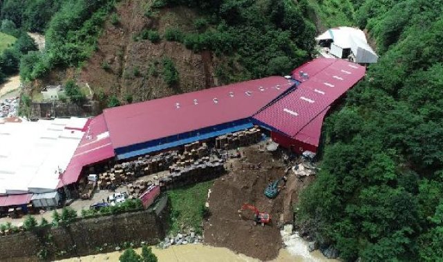 Giresun'da göçükte 1 işçinin öldüğü fabrikanın faaliyetine durdurma