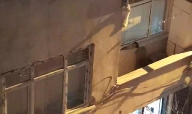Güngören'de kediyi kurtarmak için canını tehlikeye attı